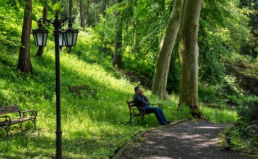 Individual sitting on a bench 